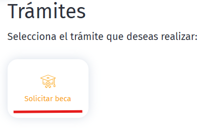 Solicit_beca
